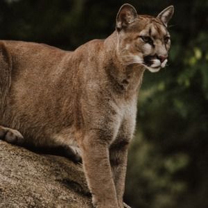 Meet your Posher, Terri